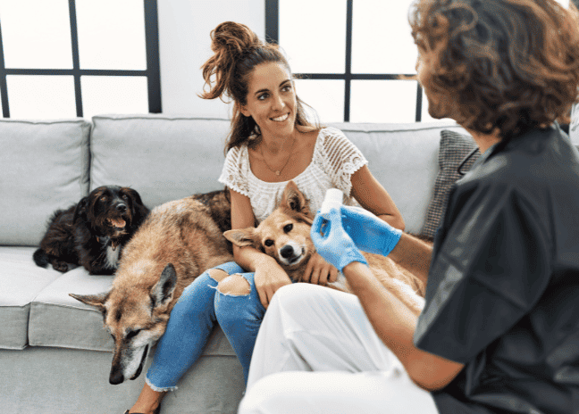Home Vaccinations: Keeping Your Companions Healthy, Hassle-Free